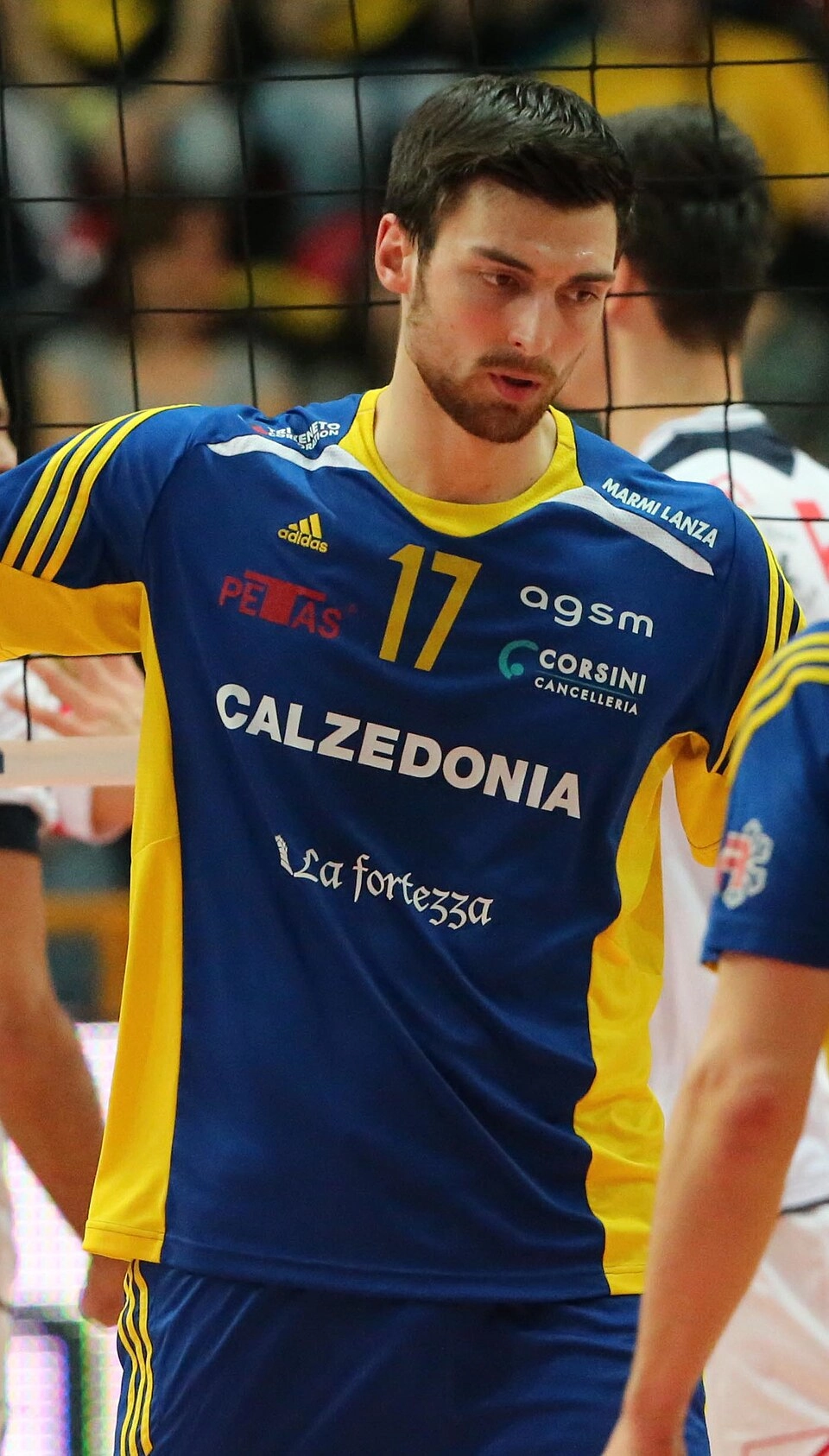 Simone Anzani